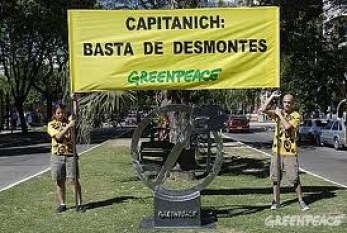 Greenpeace en Argentina y sus victorias verdes