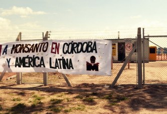 Córdoba: el Intendente de Río Cuarto prohibió por decreto la instalación de Monsanto en la ciudad